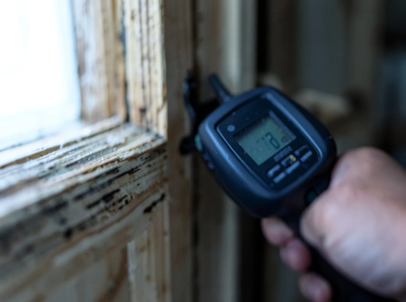Moisture Inspection And Documentation in Albany, WI